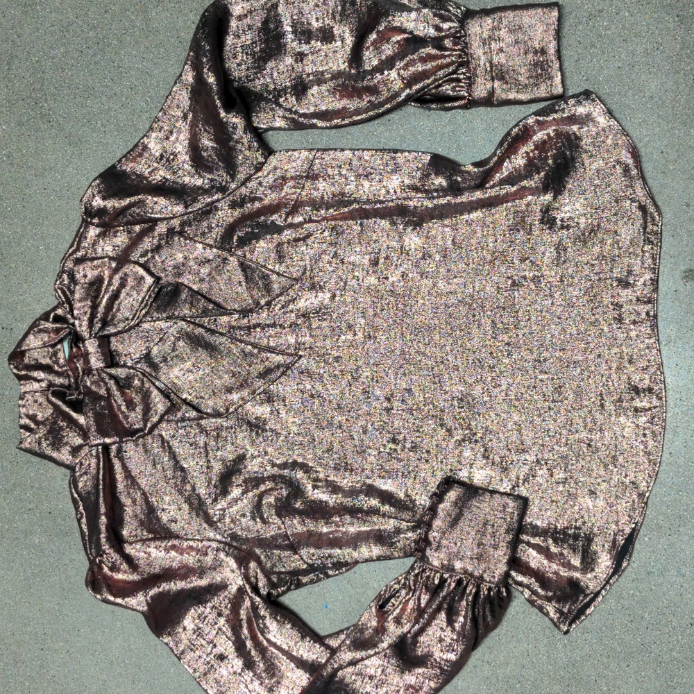 Ryegrass retro blouse metallic bronze size med